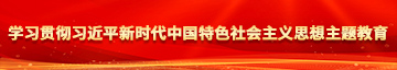 巾加勒比好逼天天操学习贯彻习近平新时代中国特色社会主义思想主题教育